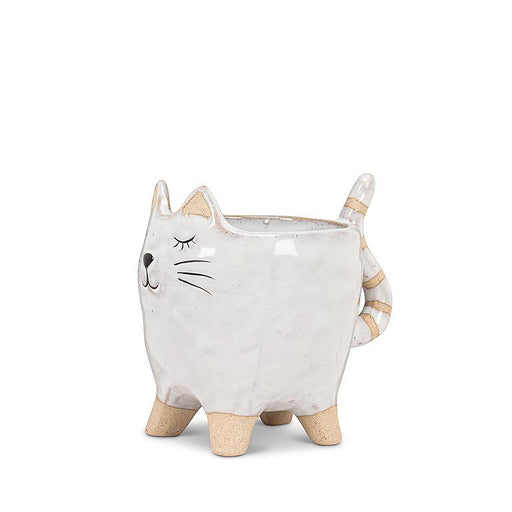 Small Cat with Tail Planter - Cactus en ligne