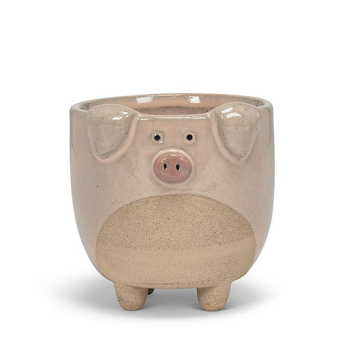 Pig on Legs Planter - Cactus en ligne