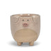 Pig on Legs Planter - Cactus en ligne