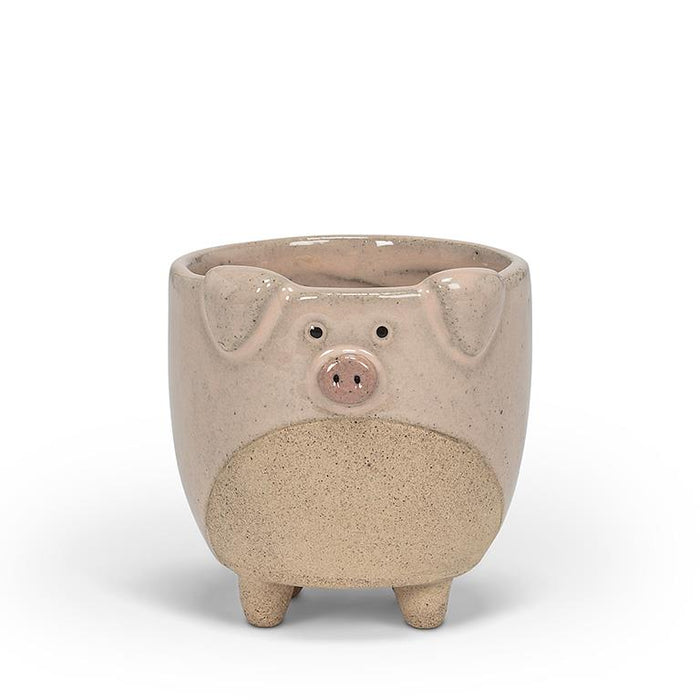 Pig on Legs Planter - Cactus en ligne