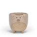 Pig on Legs Planter - Cactus en ligne