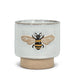Emboss Bee Planter - Cactus en ligne