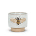 Emboss Bee Planter - Cactus en ligne