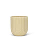 Ridged Planter 4.5" (11 cm) - Cactus en ligne