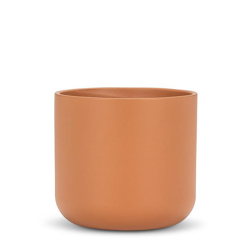 Classic Terracotta Pot - Cactus en ligne