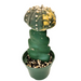 Astrophytum Asterias F. Variegata - Cactus en ligne