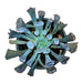 Echeveria Trumpet Pinky - Cactus en ligne