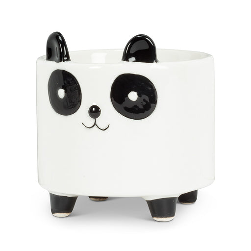 Panda Planter 3.5'' H [PREORDER] - Cactus en ligne