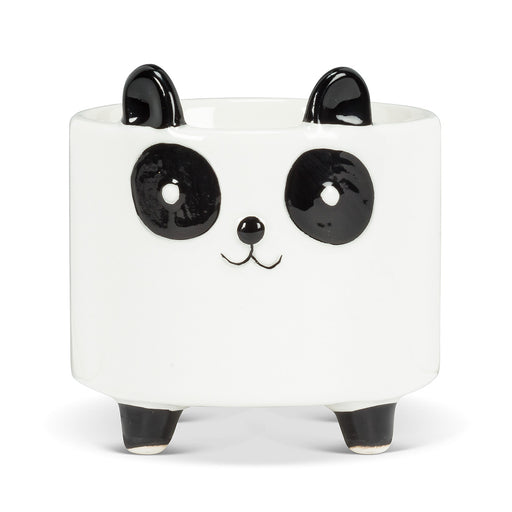 Panda Planter 3.5'' H [PREORDER] - Cactus en ligne