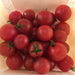 Large Red Cherry Tomato - Cactus en ligne