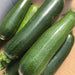 Dark Green Zucchini - Cactus en ligne