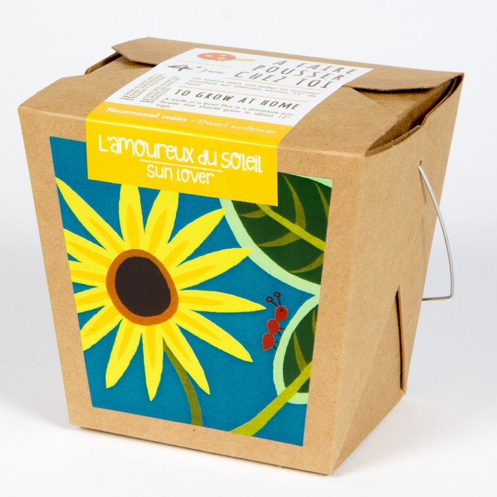 Crunchy Sunflower Junior Garden in a Box — Cactus en Ligne