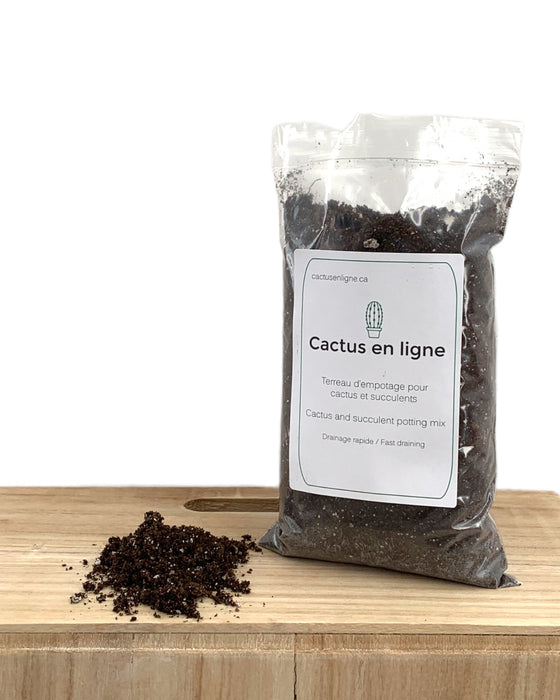 soil for cactus and succulents Cactus and Succulent Soil — Cactus en Ligne