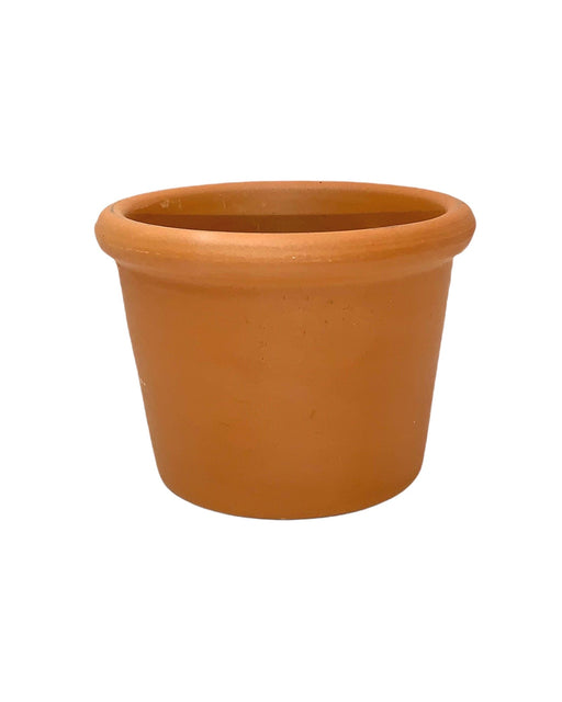 Cylindric Terra Cotta Pot - Cactus en ligne