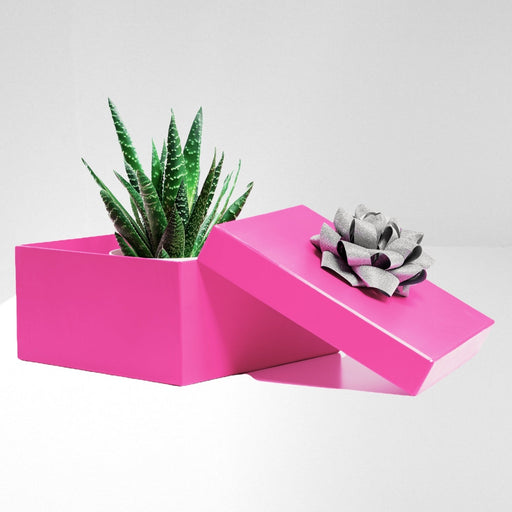 Carte cadeau - Cactus en ligne - Gift card