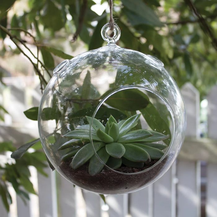 Hanging Sphere Terrarium Vase 4"