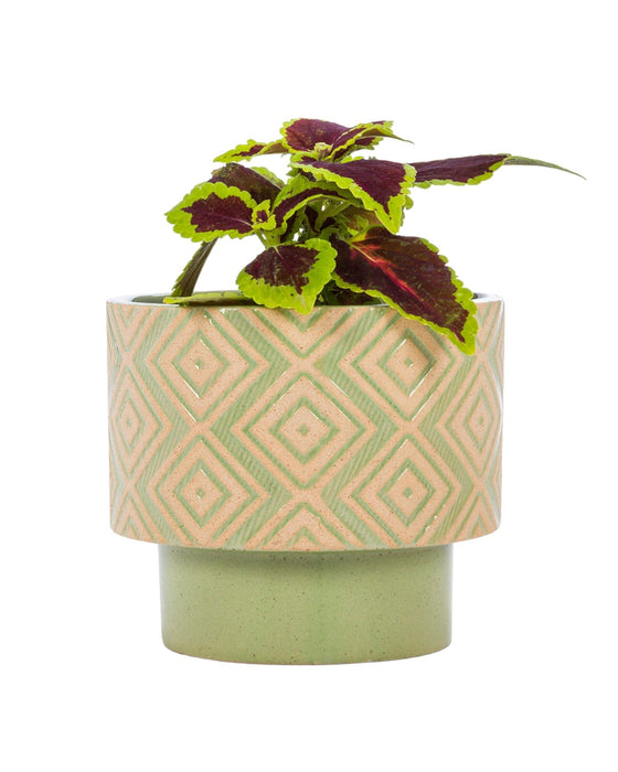 Green T-shaped Planter