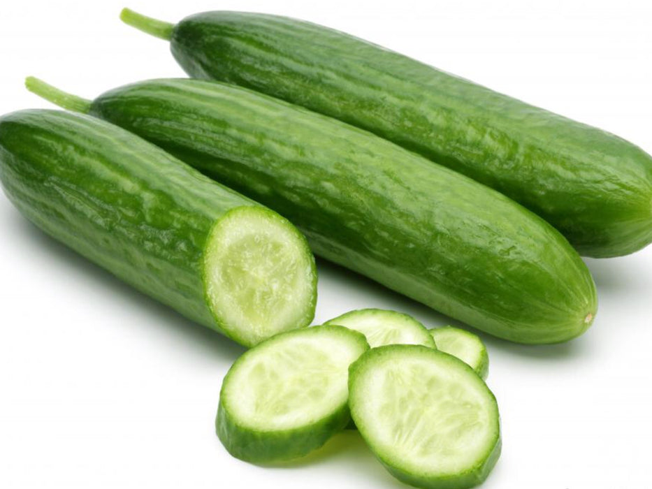 Lebanese Cucumber - Super Zagross