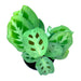 Maranta 'Prayer Plant' Green - Cactus en ligne
