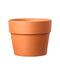 Perfetto Terracotta Pot 4" - Cactus en ligne