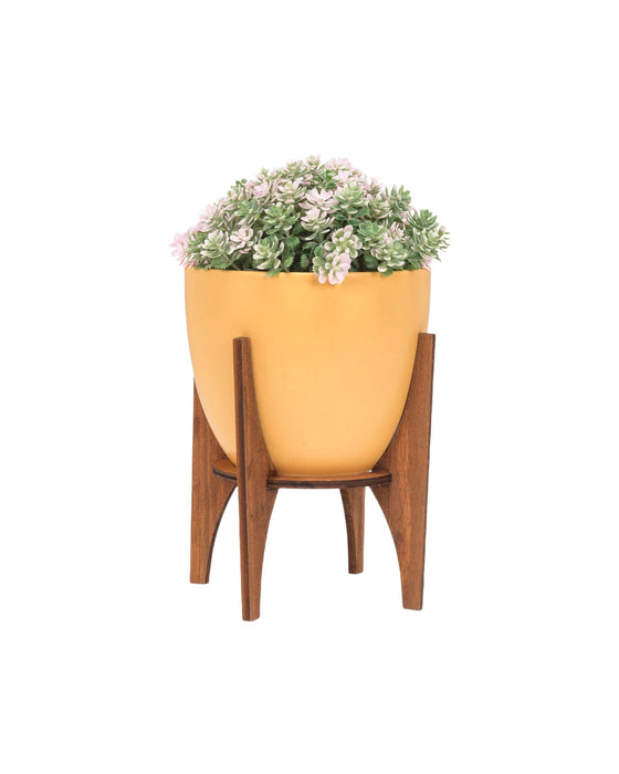 Yellow Pot with Wooden Stand 2.5-4.5"