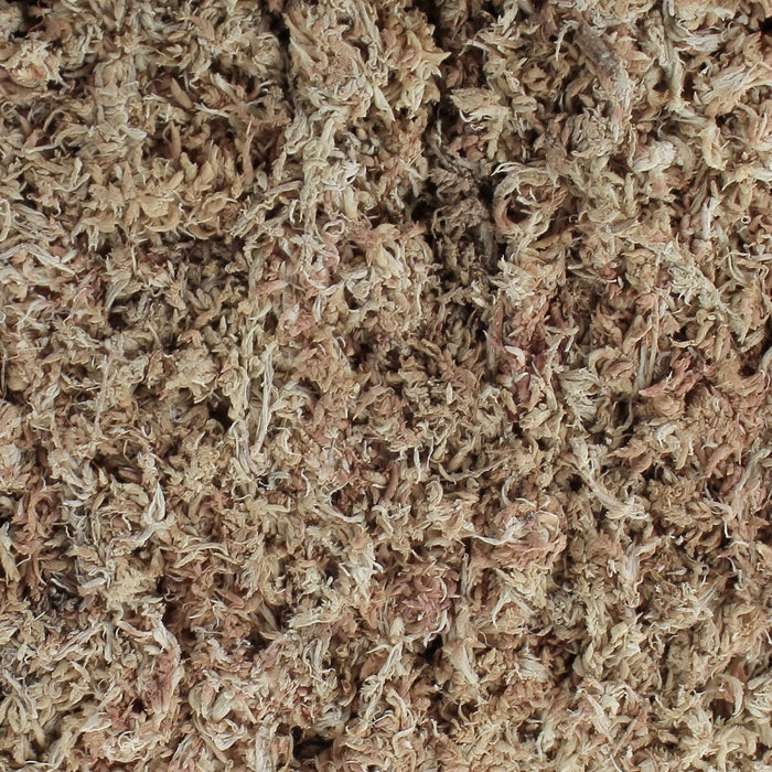 Sphagnum moss - mousses de sphaigne - Mouses du Quebec - Cactus en ligne